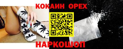 индика Сланцы