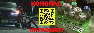 сатива Славгород