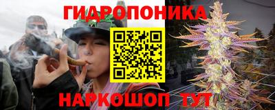 сатива Славгород