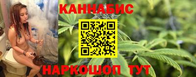 сатива Славгород