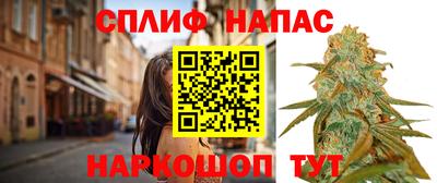 mdpv Славянск-на-Кубани