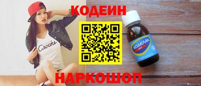 индика Сланцы