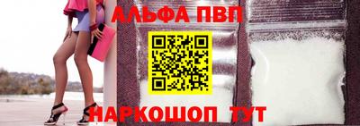 сатива Славгород