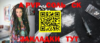 индика Сланцы