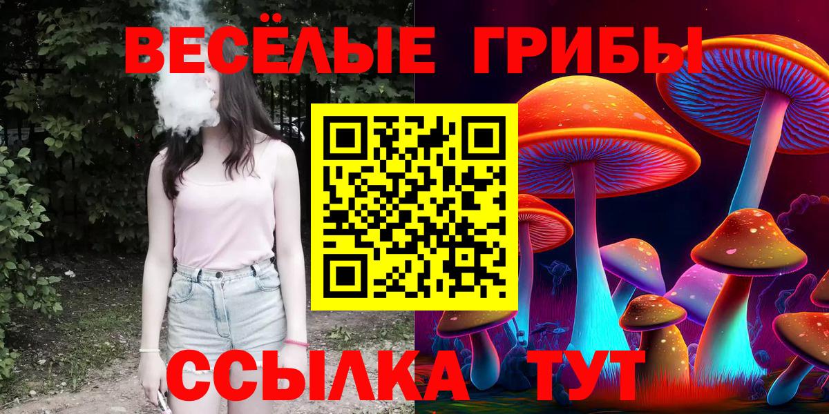 Псилоцибиновые грибы прущие грибы Обь
