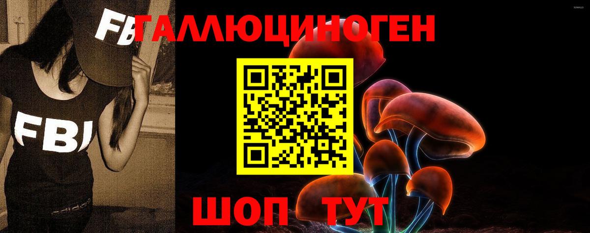 Обь  Псилоцибиновые грибы мицелий  Вход с VPN 